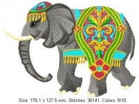 Elephant005