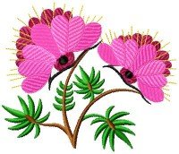 Floral Eyes 008